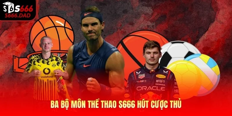 Ba bộ môn thể thao S666 hút cược thủ Ba bộ môn thể thao S666 hút cược thủ