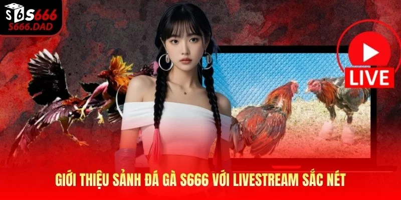 Giới thiệu sảnh đá gà S666 với livestream sắc nét Giới thiệu sảnh đá gà S666 với livestream sắc nét