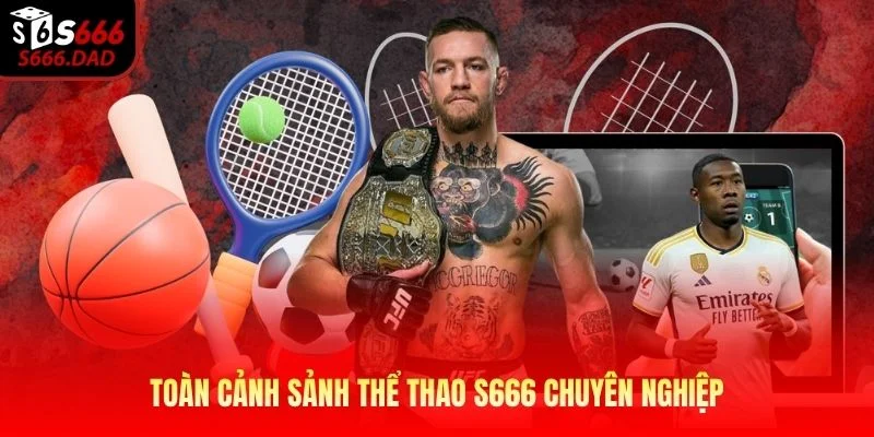 Toàn cảnh sảnh thể thao S666 chuyên nghiệp Toàn cảnh sảnh thể thao S666 chuyên nghiệp